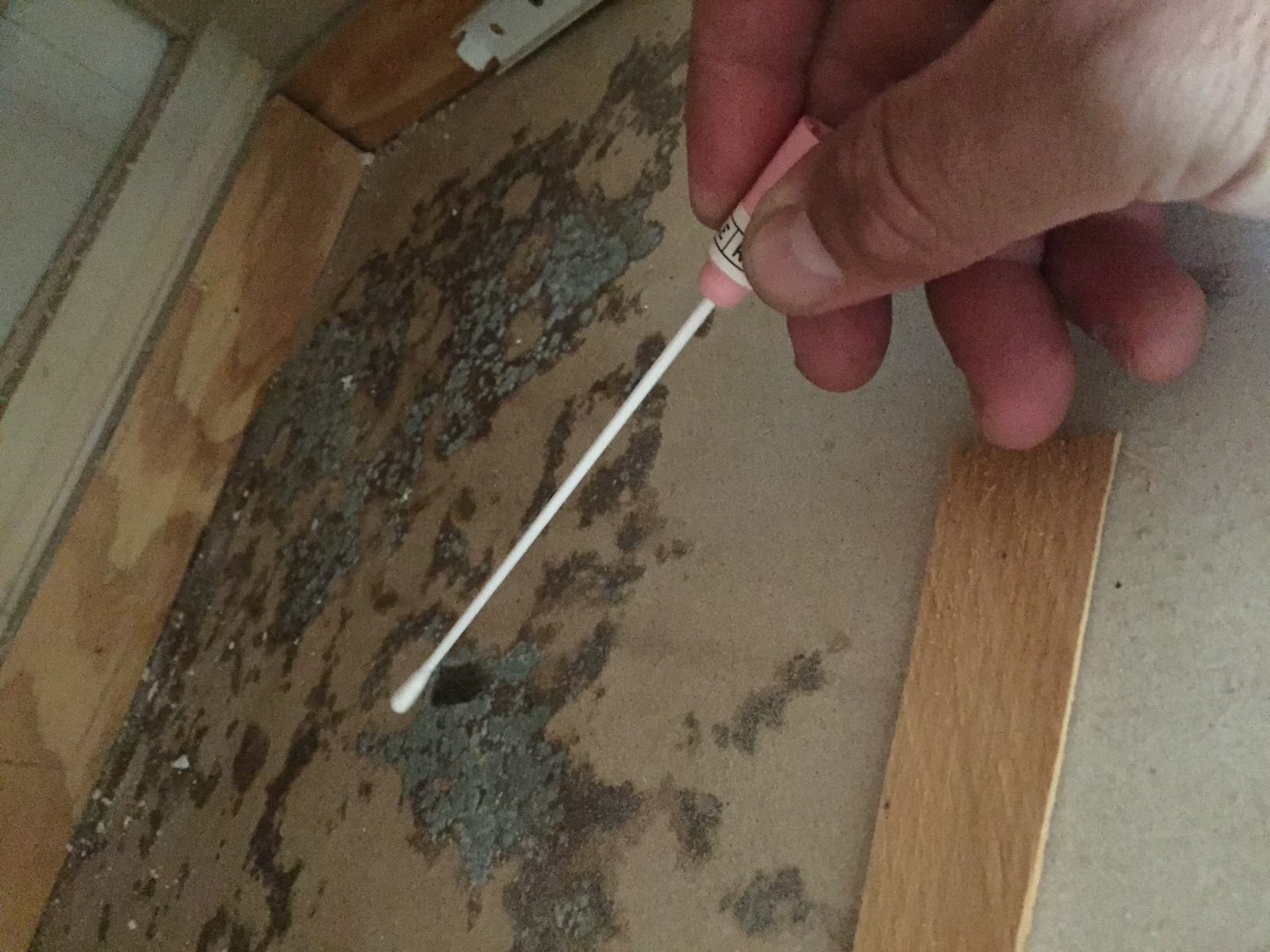 Mold spors on cabinet