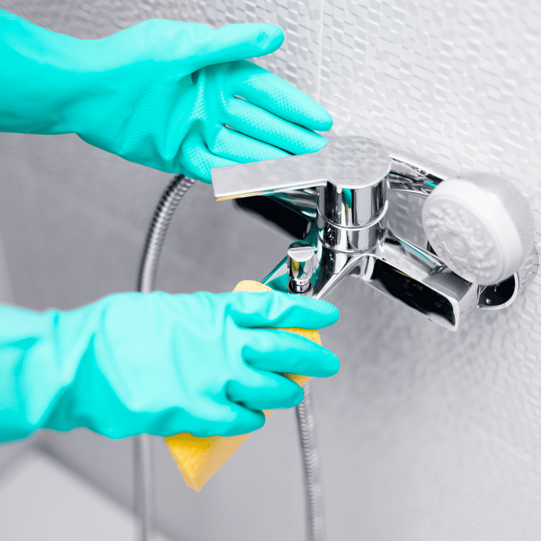 Full service cleaning in Tallahassee